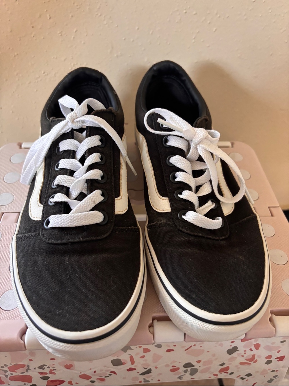 Vans Black and White Low-Top Skate Sneakers